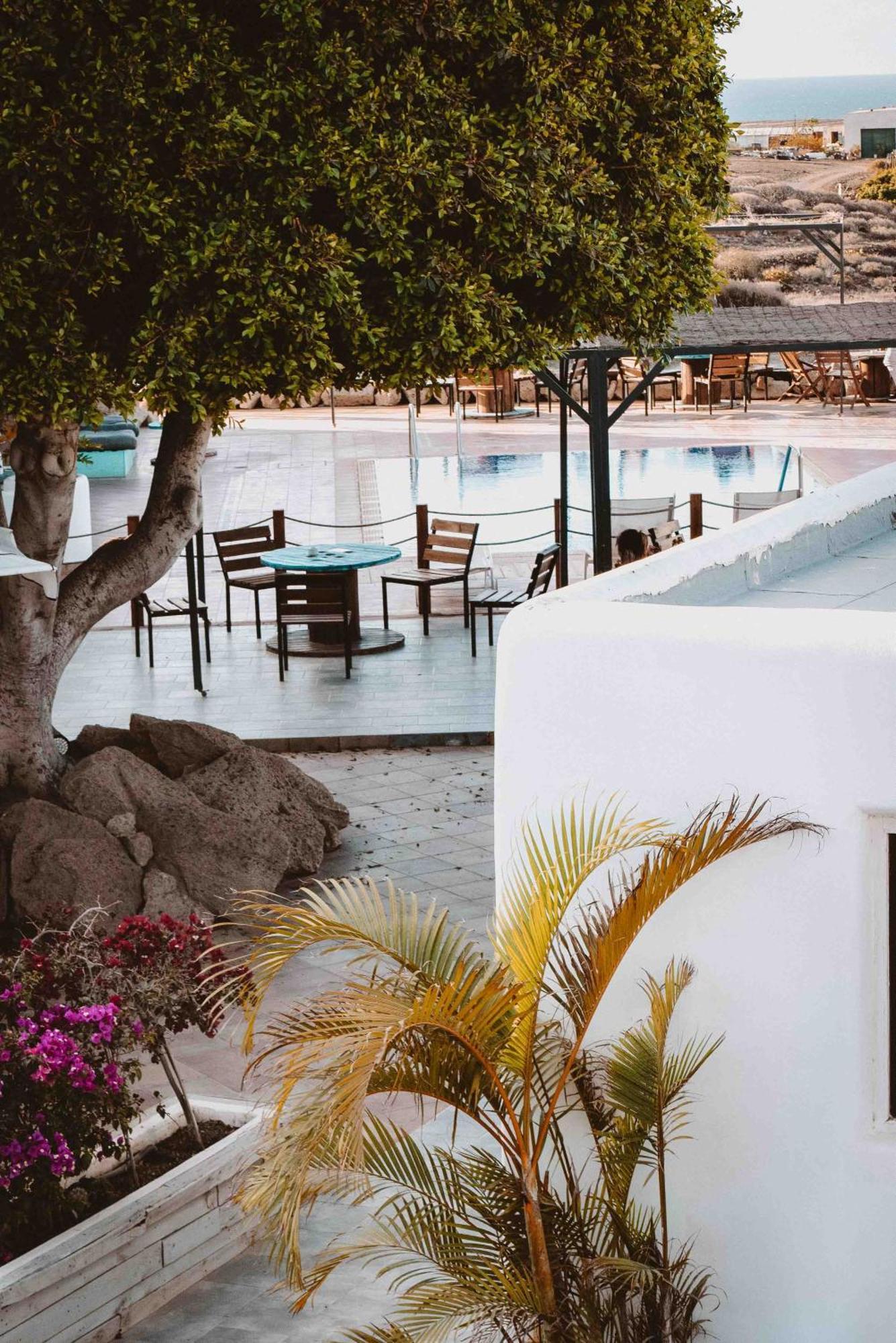 The Tree House Tenerife El Médano Exterior photo